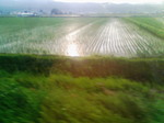 201106181732000.jpg